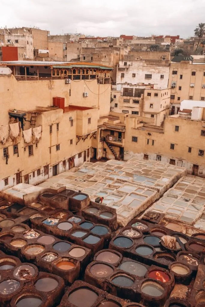 Chouara tannery dyeing pits in Fes