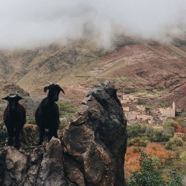 Imlil, Morocco (1)