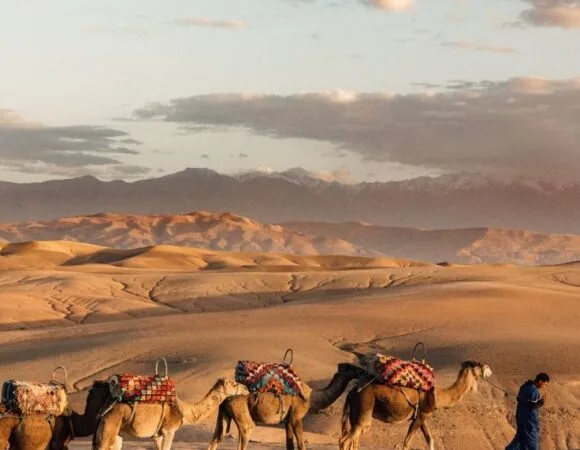 Excursion au Désert d’Agafay depuis Marrakech : le Guide Complet