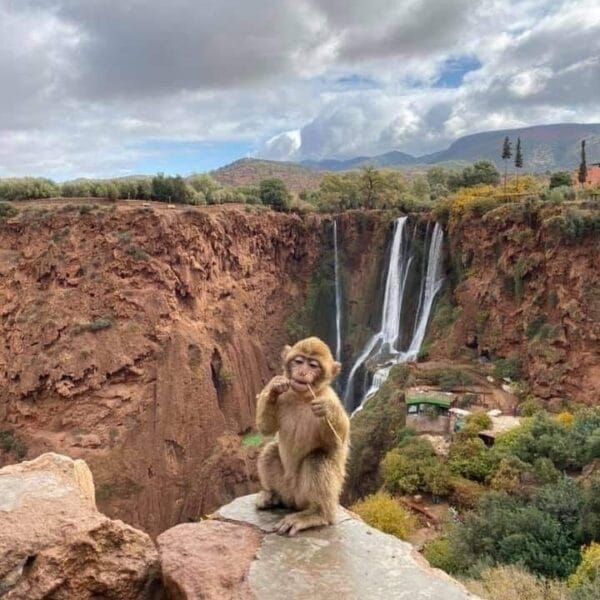 Ouzoud, Morocco