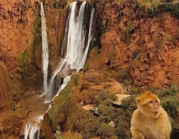 Ouzoud Waterfalls: How to Visit from Marrakech