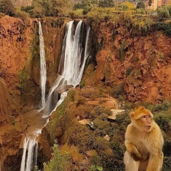 Ouzoud waterfalls Morocco