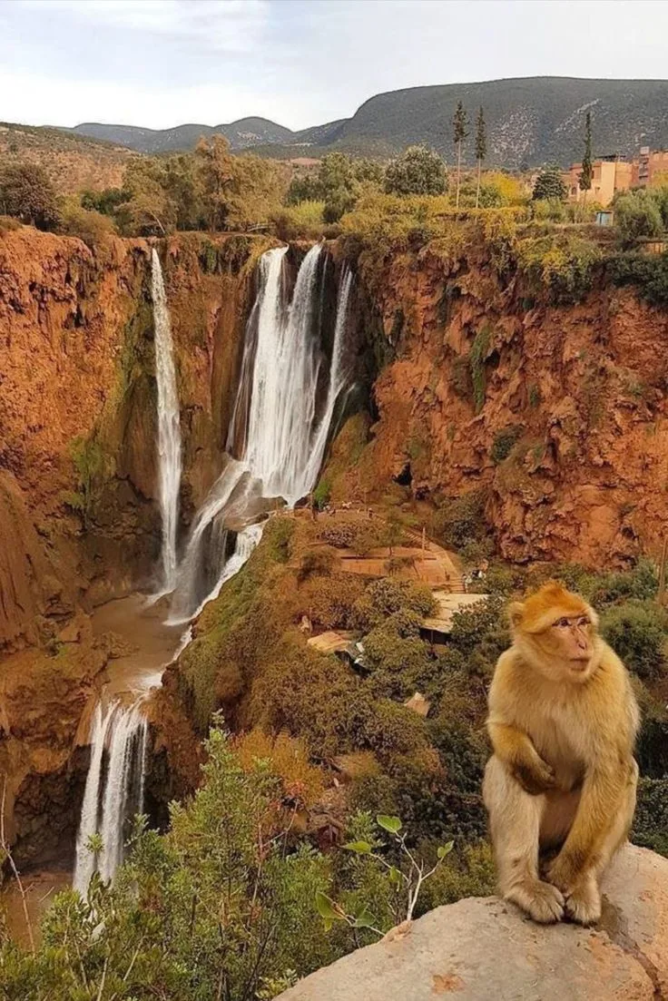 Ouzoud waterfalls Morocco Ouzoud Waterfalls in the Middle Atlas
