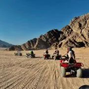 Safari in the desert