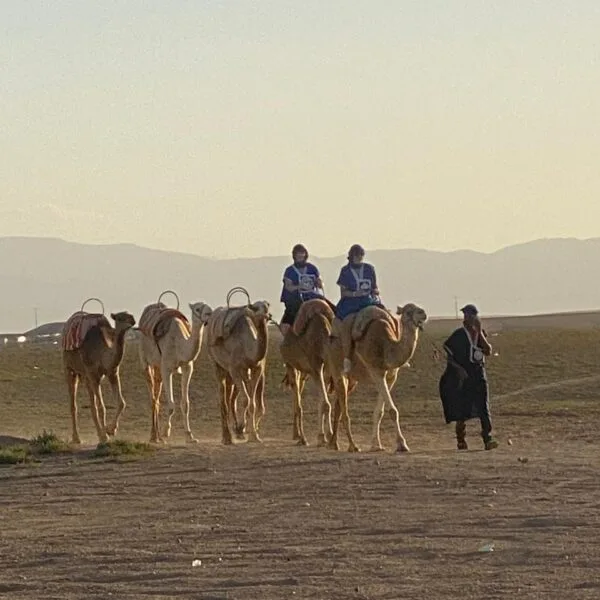 WhatsApp Image 2025-02-04 at 12.11.06 camel group