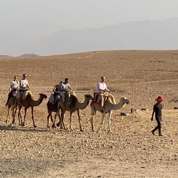 WhatsApp Image 2025-02-04 at 12.11.40 camel group in agafay