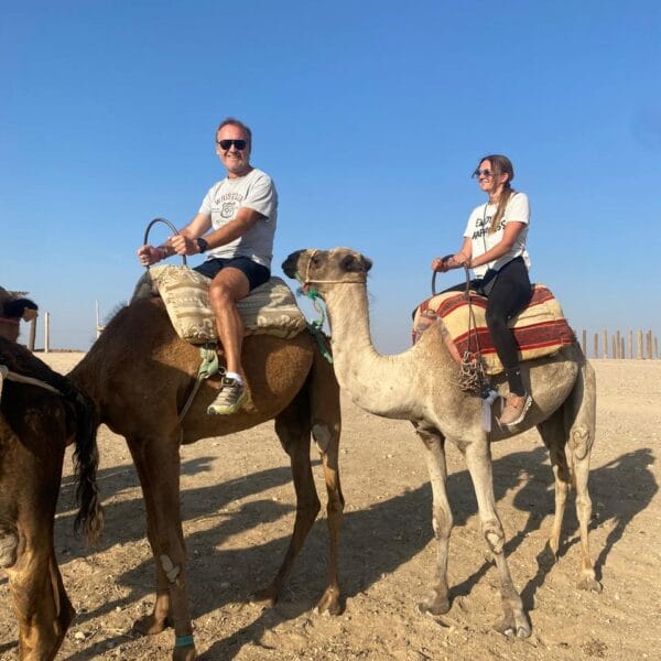 camel in desert