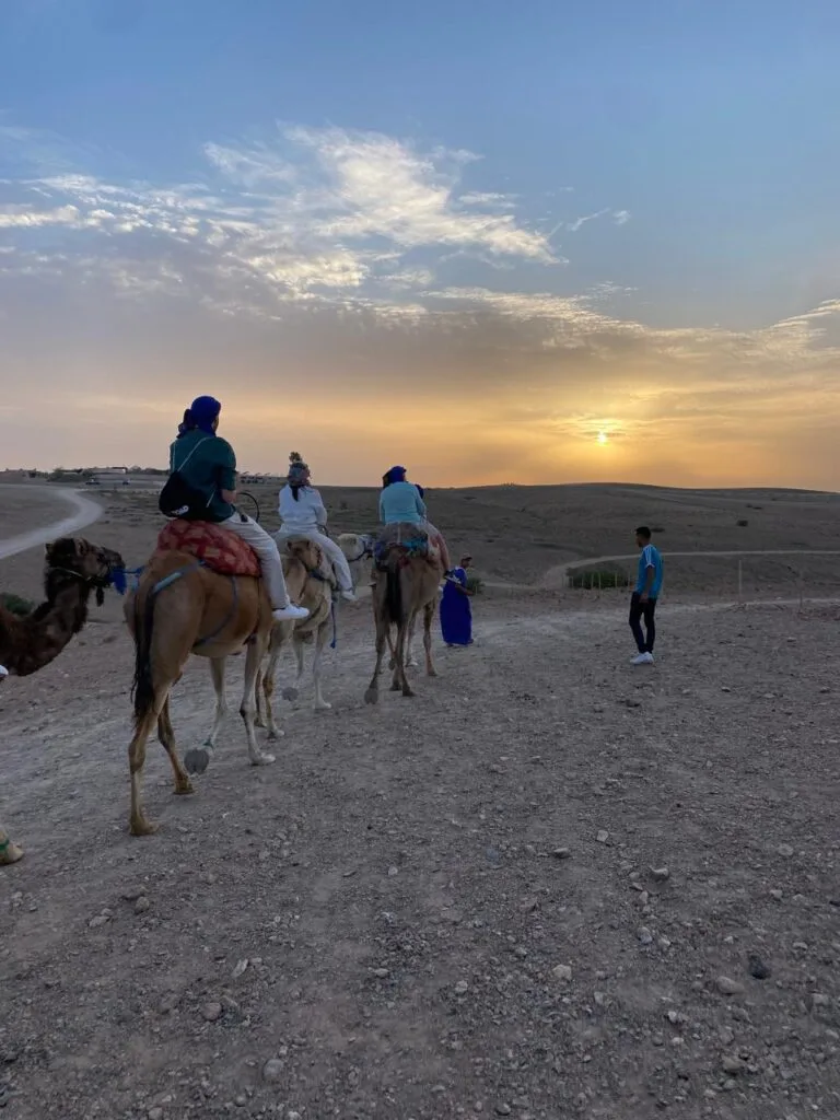جولة على ظهور الجمال في صحراء أكفاي