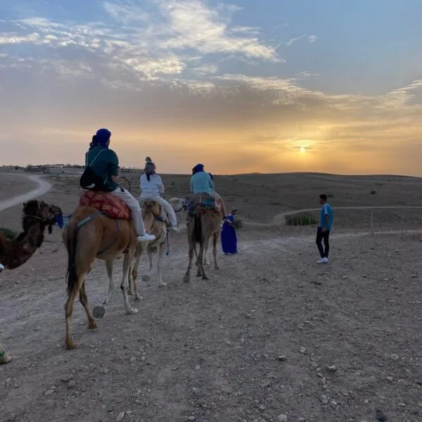 WhatsApp Image 2025-02-04 at 12.14.44 camel and sanset in agafay