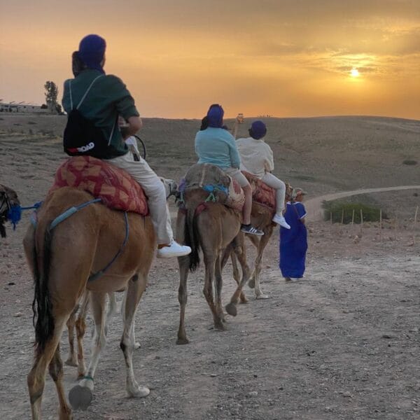 camel sanset agafay desert