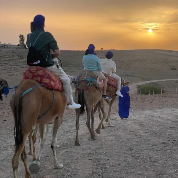 WhatsApp Image 2025-02-04 at 12.14.57 camel sanset agafay desert