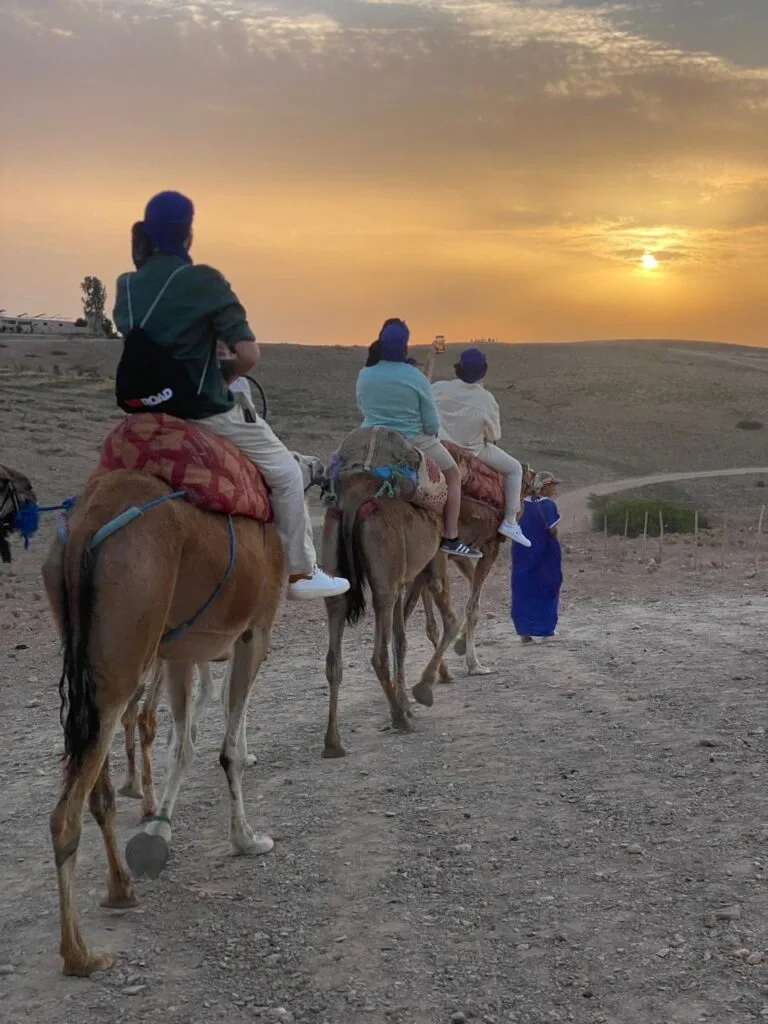 Balade à dromadaire au coucher du soleil à Agafay