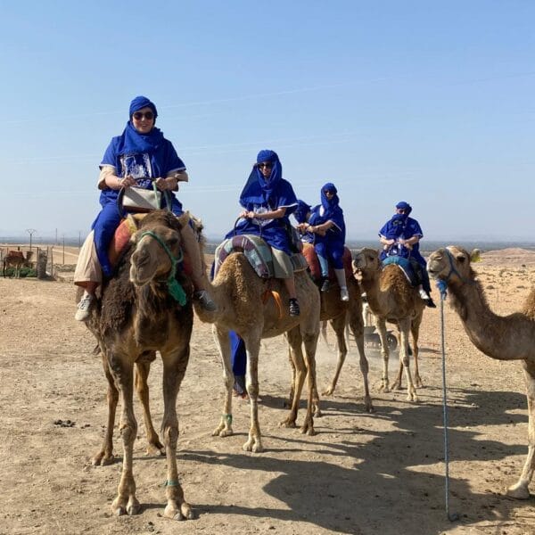 camel agafay desert