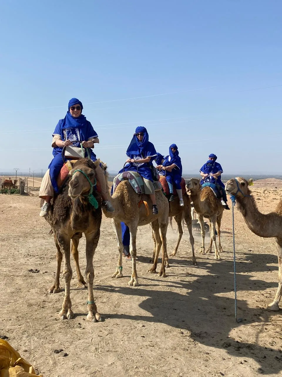 Camel ride in the Agafay Desert near Marrakech