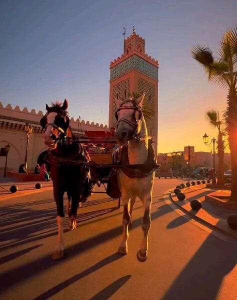 hose in marrakech