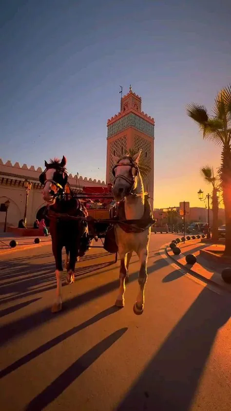 Horse-drawn calèche near the Koutoubia at sunset
