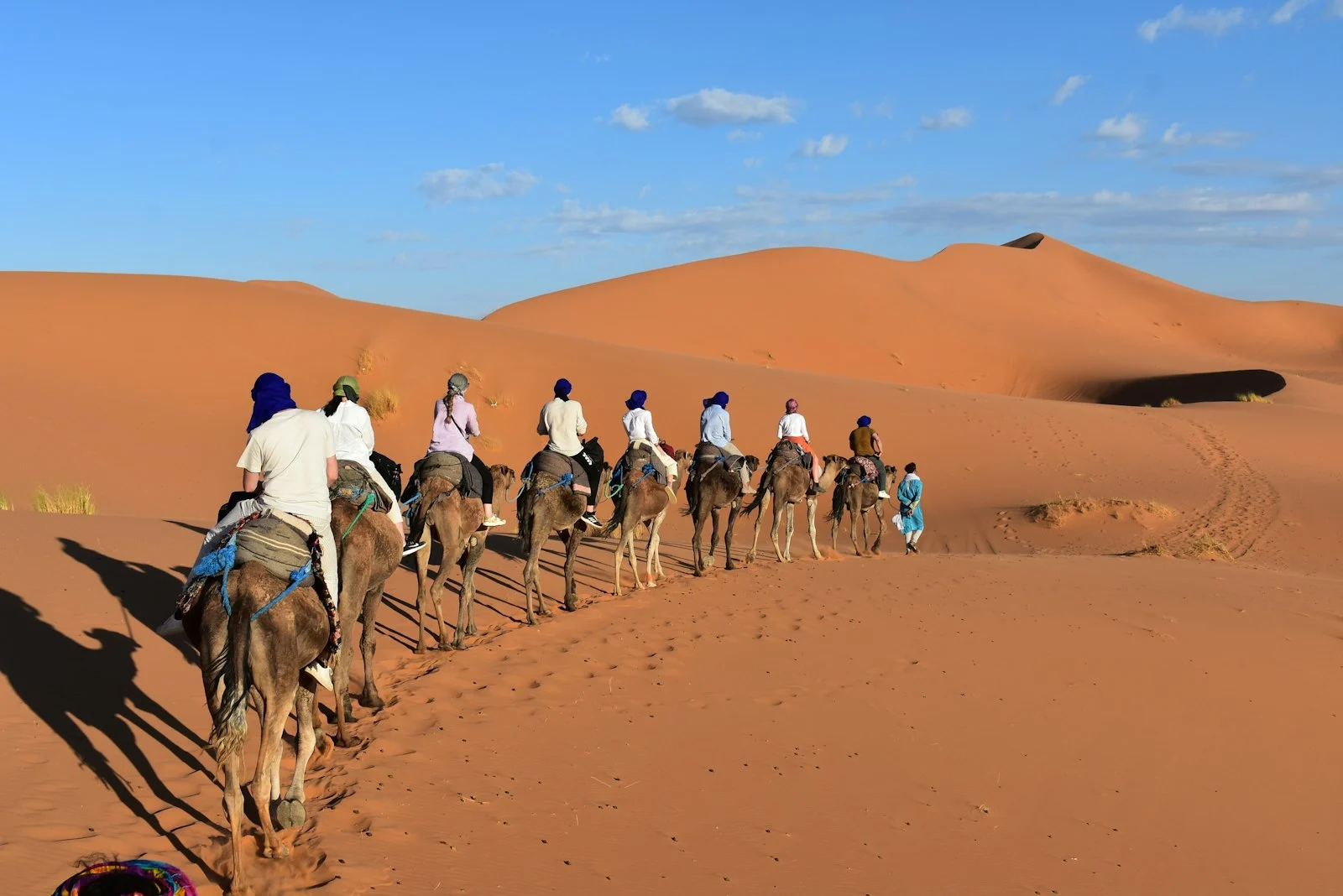 Camel caravan crossing the Erg Chebbi dunes