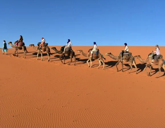 Itinéraire de 7 Jours au Départ de Marrakech : Désert, Montagnes et Villes Impériales