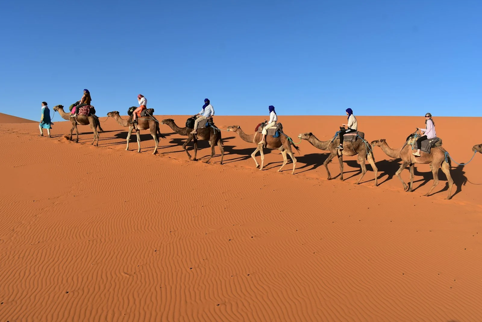 Caravane de dromadaires dans les dunes de l'Erg Chebbi Caravane de dromadaires dans les dunes de l'Erg Chebbi