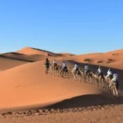 Caravana de camellos en las dunas del Sáhara