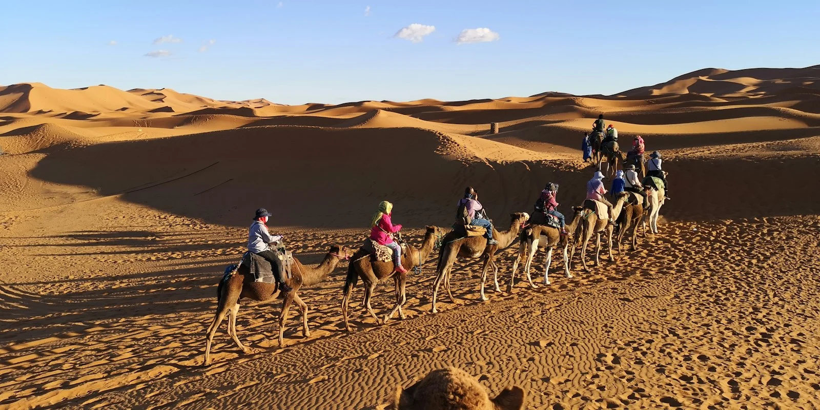 Balade à dromadaire dans le désert du Sahara