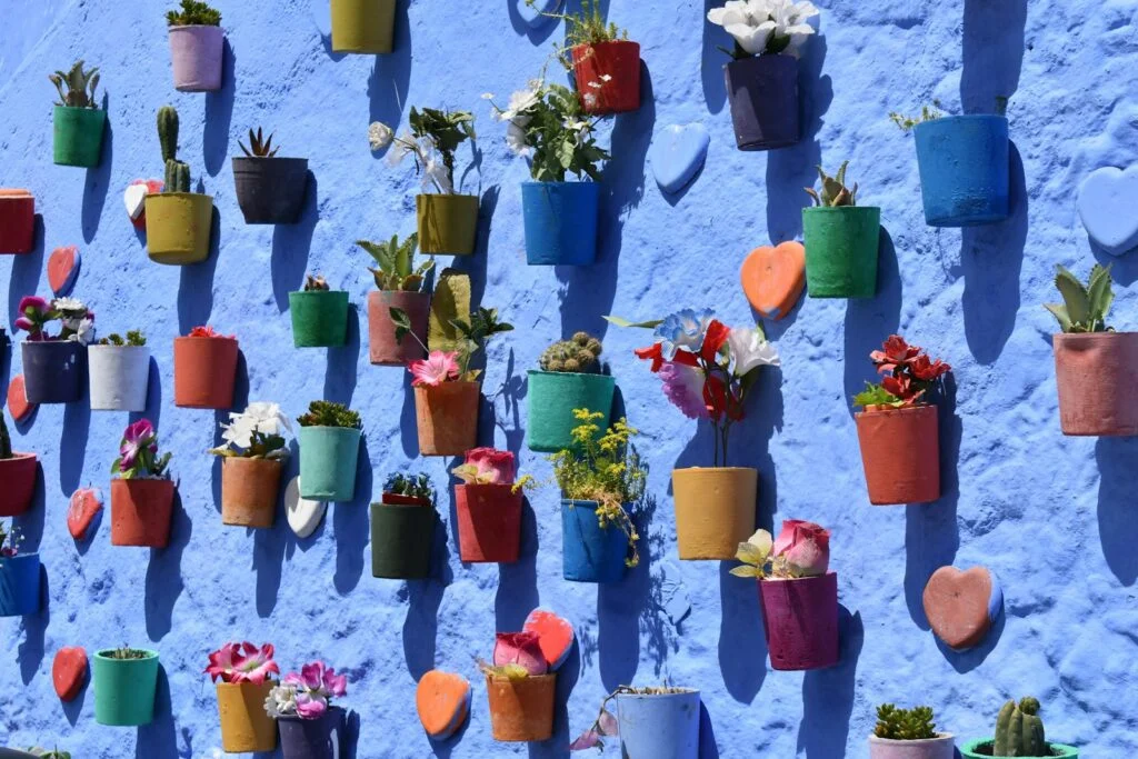 Chefchaouen la Ville Bleue : Guide de Voyage Complet 1 Mur bleu décoré de pots de fleurs à Chefchaouen