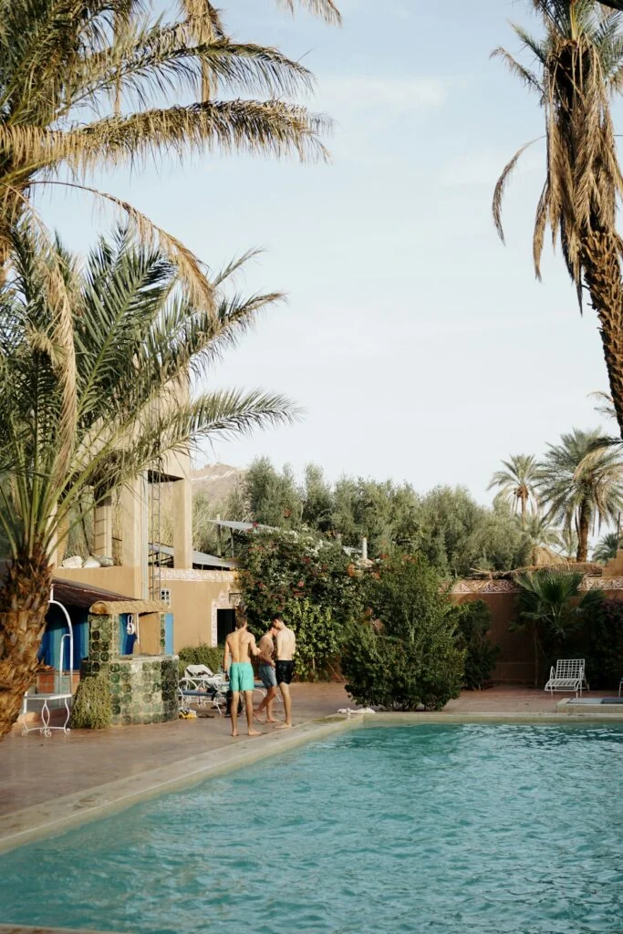 Palm grove oasis near Zagora in the Draa Valley