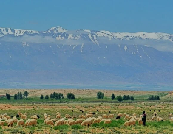 Morocco in Winter: Weather and What to Do